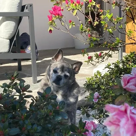 Casa Cristina Сasa de vacaciones