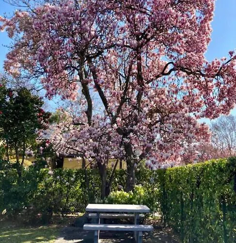 Casa Cristina Feriehus *